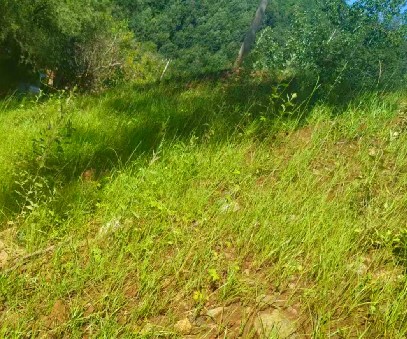 柳關欒盧鉛鋅礦|治理排土“瘡疤”，繪就綠色畫卷